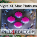 Vigra Xl Max Platinum 02